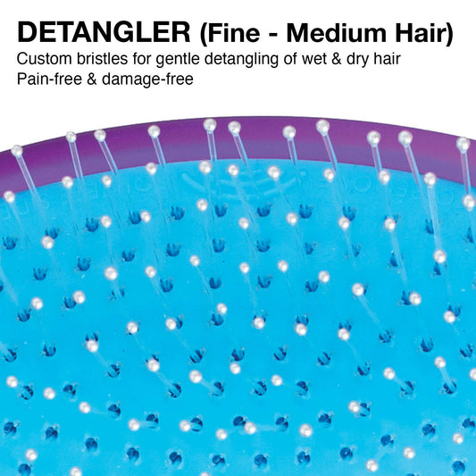 The OG Brush Collection | Purple | 721 - OGDBOX01 | OLIVIA GARDEN | COMBS & BRUSHES by OLIVIA GARDEN - SH Salons