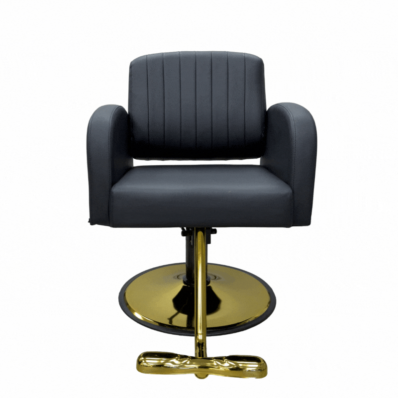LT6030 | Styling Chair | Modern Design with Timeless Comfort | Hair Salon Accessories | SSW