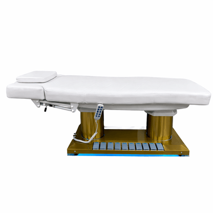 LT8750 | Electric Treatment Chair/Bed | SSW | MASSAGE BED by SSW - SH Salons
