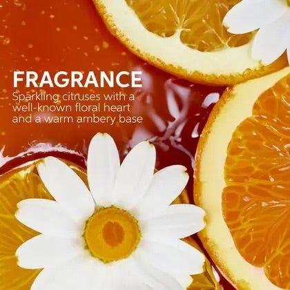 Miracle Oil Serum | Ultimate Smooth | WELLA | HAIR STYLING PRODUCTS by WELLA PROFESSIONAL - SH Salons