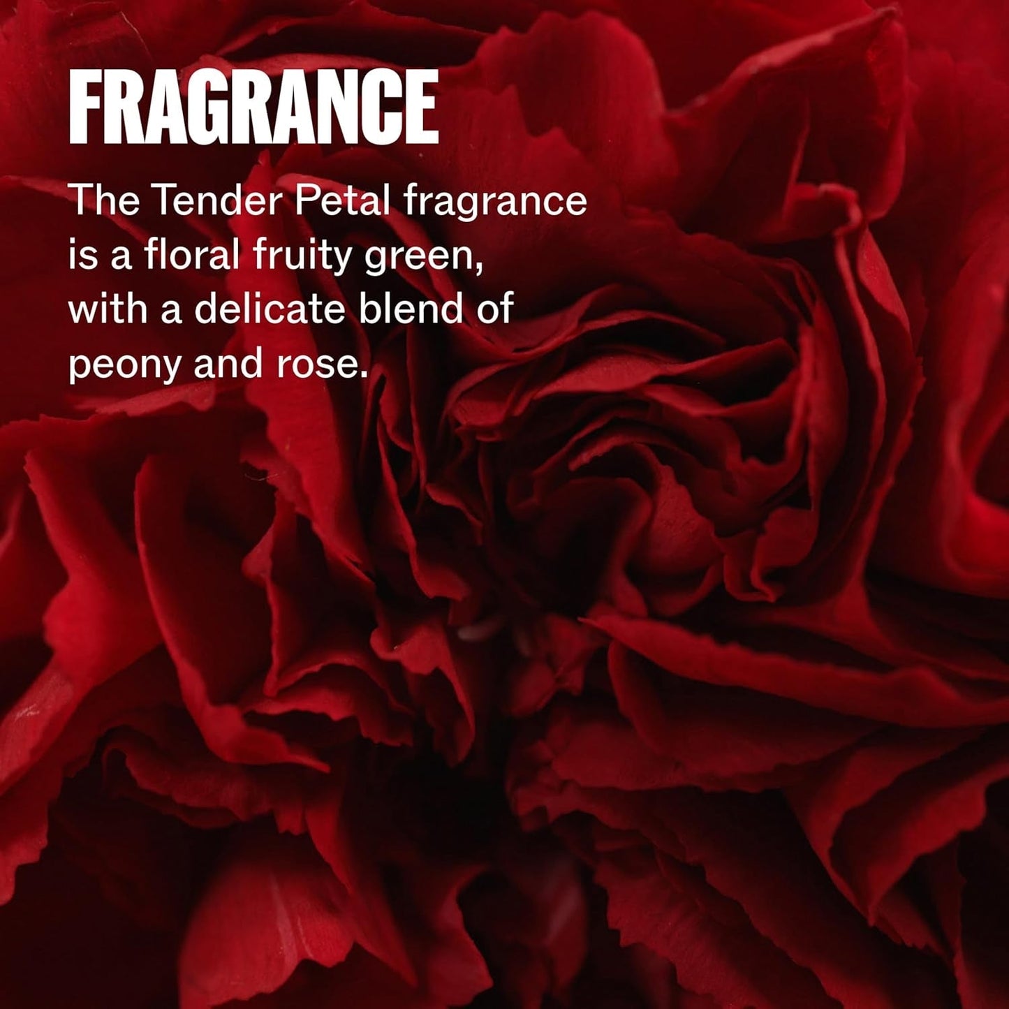 Protective Leave - In Treatment for Damaged Hair | Step 4 | Thermal, UV Protection | Ultimate Repair | WELLA | HAIR STYLING PRODUCTS by WELLA PROFESSIONAL - SH Salons