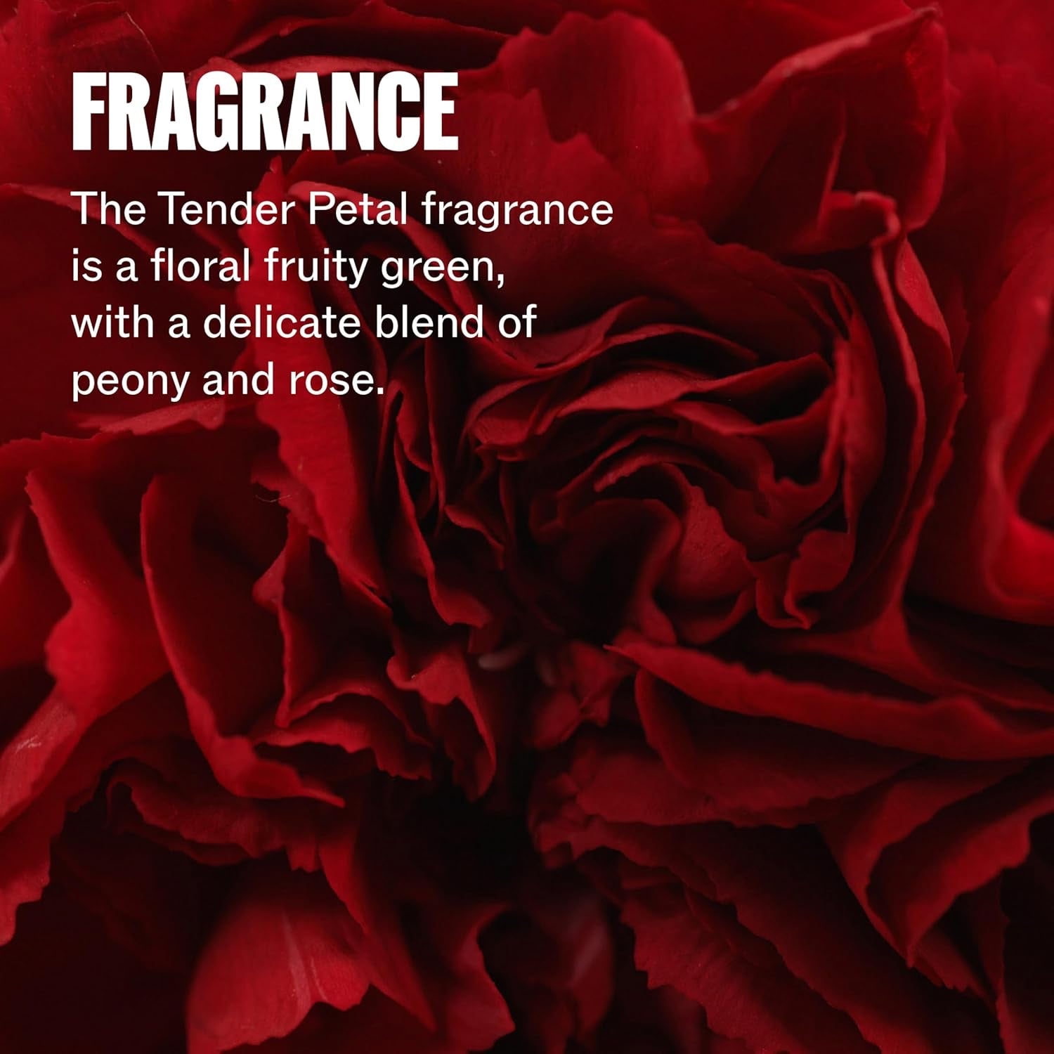 Protective Leave - In Treatment for Damaged Hair | Step 4 | Thermal, UV Protection | Ultimate Repair | WELLA | HAIR STYLING PRODUCTS by WELLA PROFESSIONAL - SH Salons