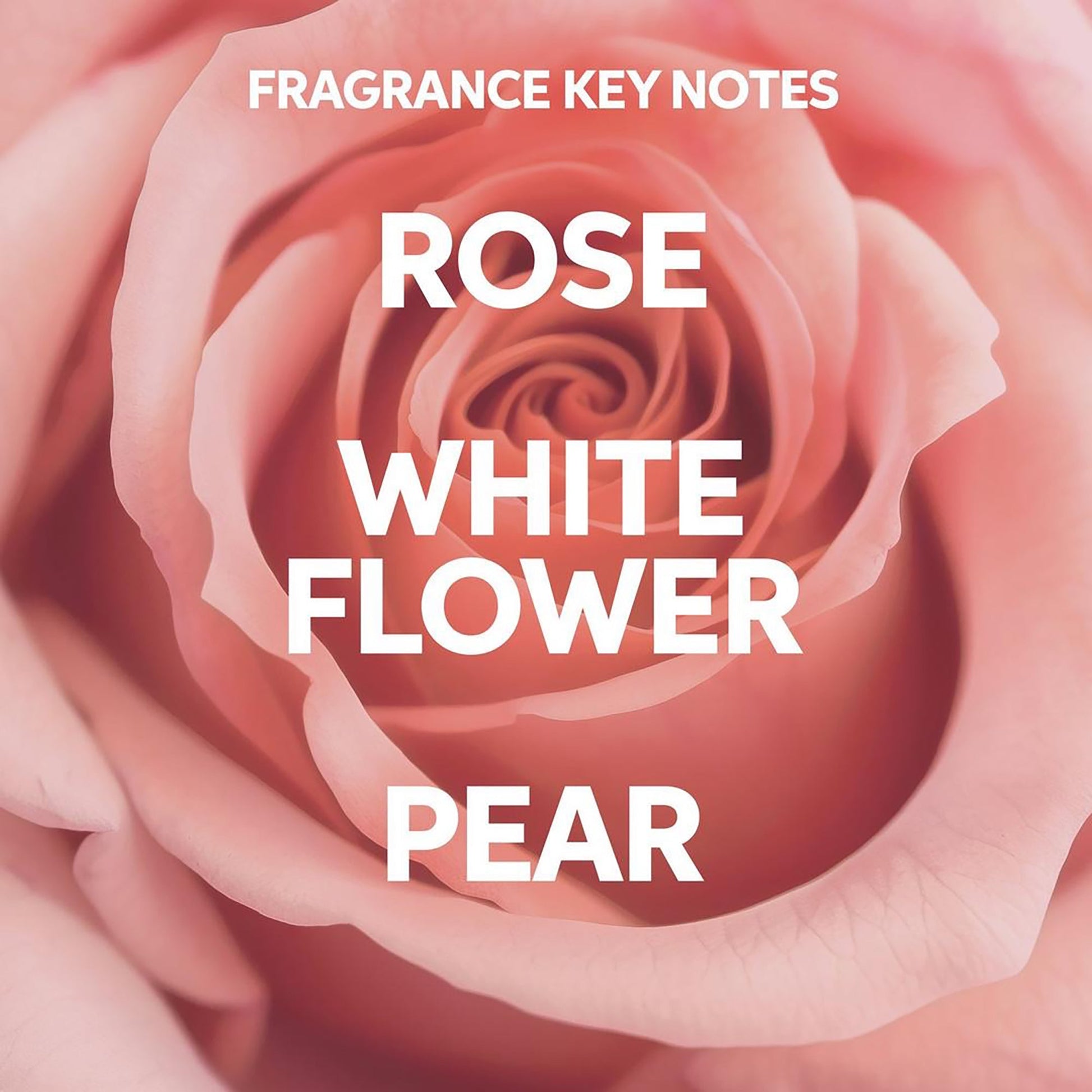 Shampoo | Intense Repair | FusionPLEX | WELLA | SHAMPOO by WELLA PROFESSIONAL - SH Salons