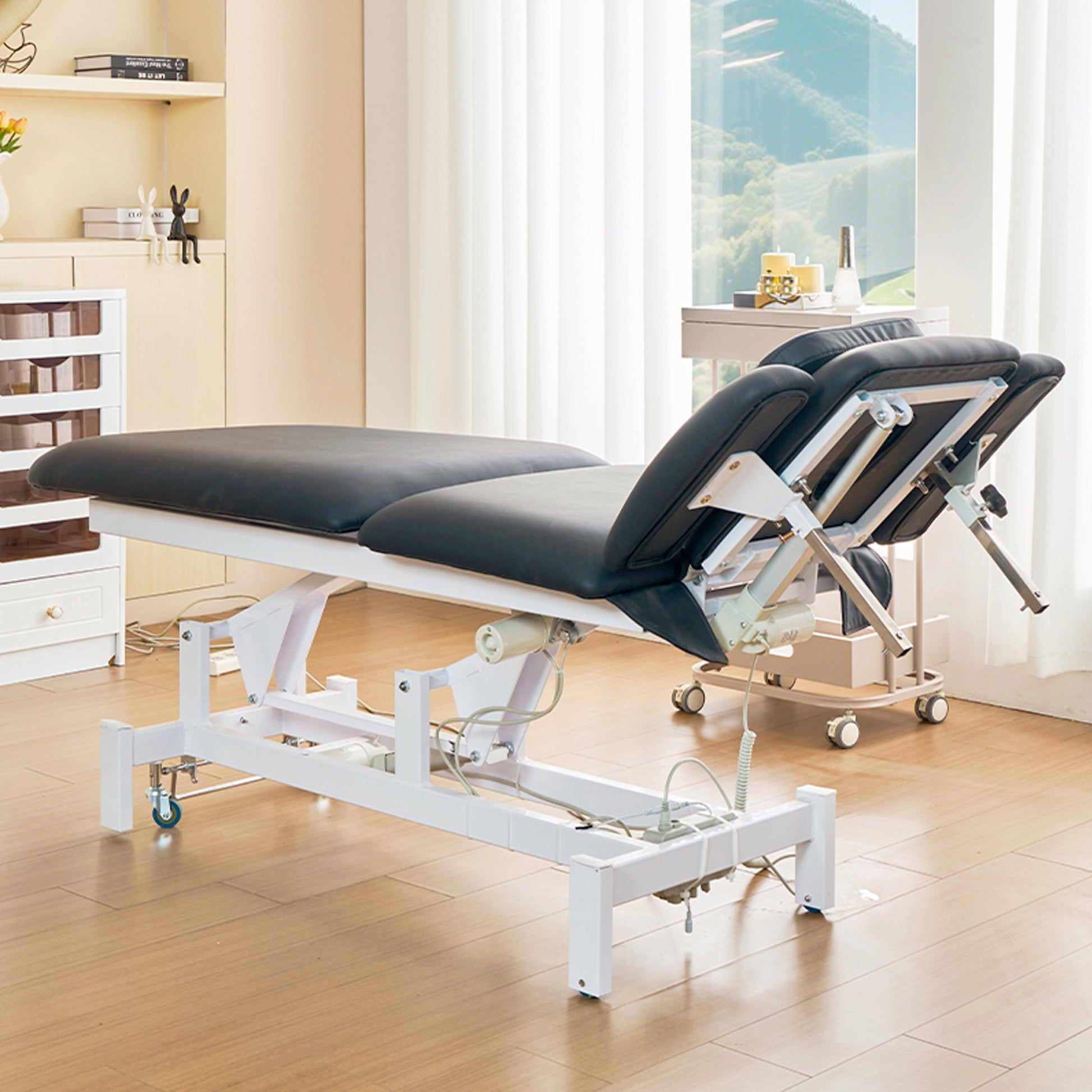 SSW 812 Electric Treatment Table by SSW | SH Salons
