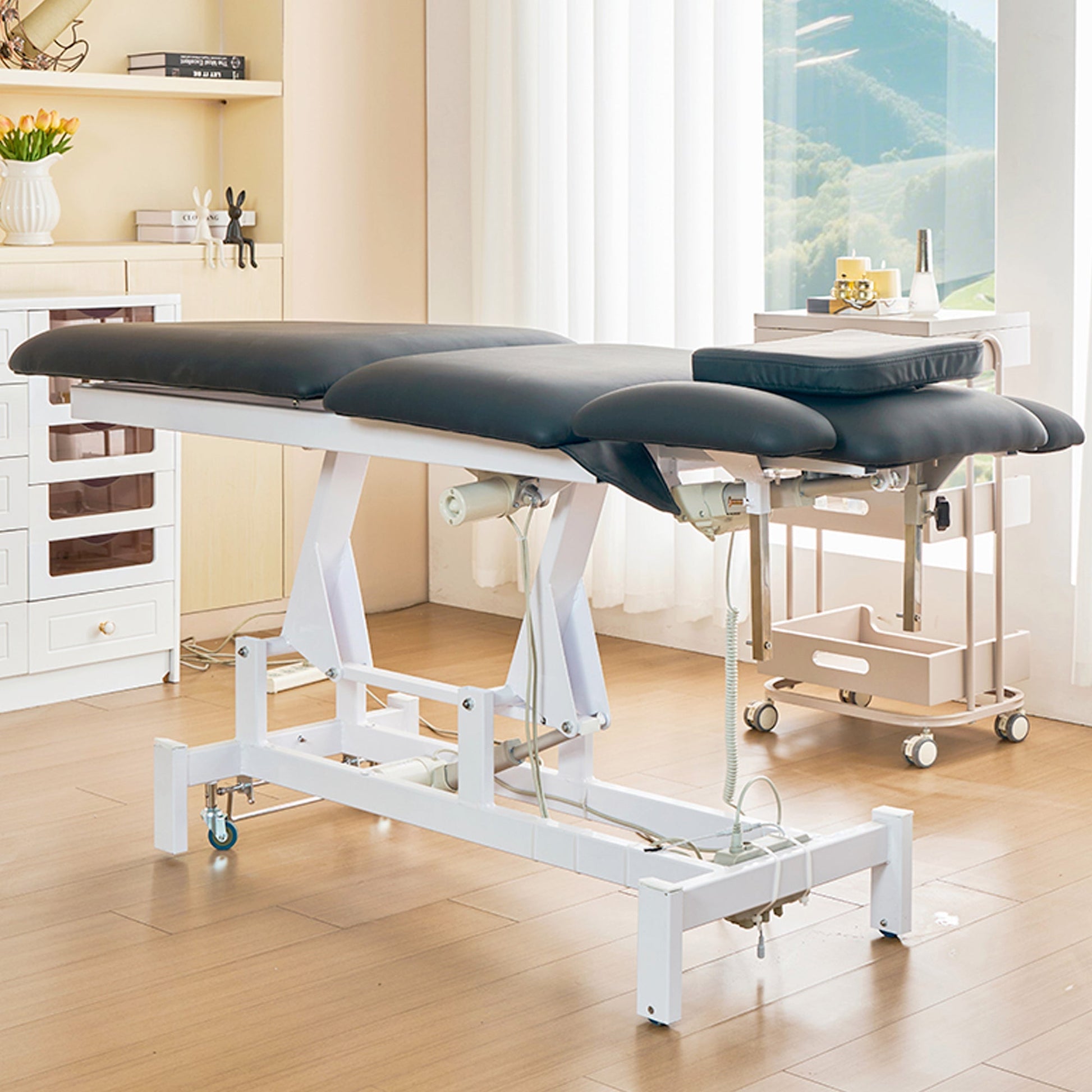 SSW 812 Electric Treatment Table by SSW | SH Salons