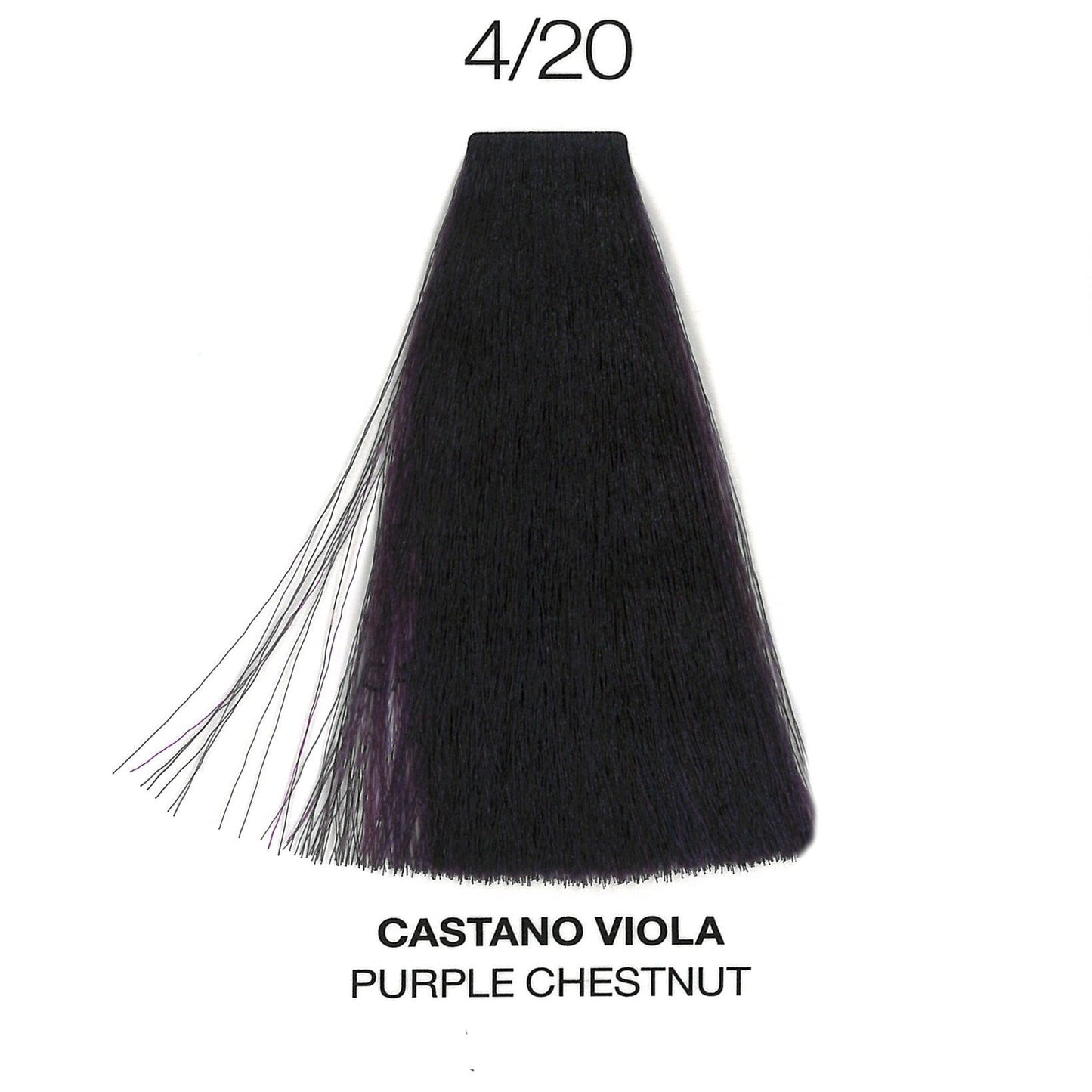 4/20 Purple Chestnut | Ammonia-Free Permanent Hair Color | Purity | OYSTER - SH Salons
