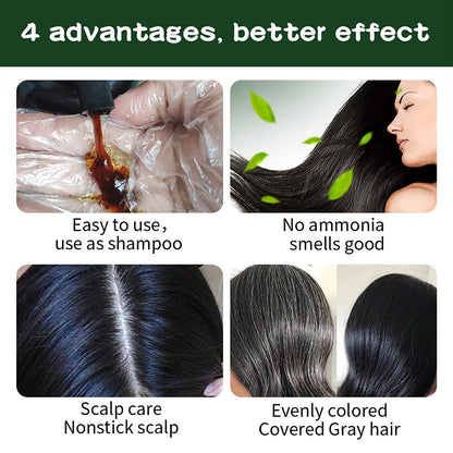 Black Hair Color Shampoo | 3 in 1 with a FREE Pair of Gloves | 500ml / 16.9 Fl Oz | Grey Hair Coverage | AUGEAS - SH Salons