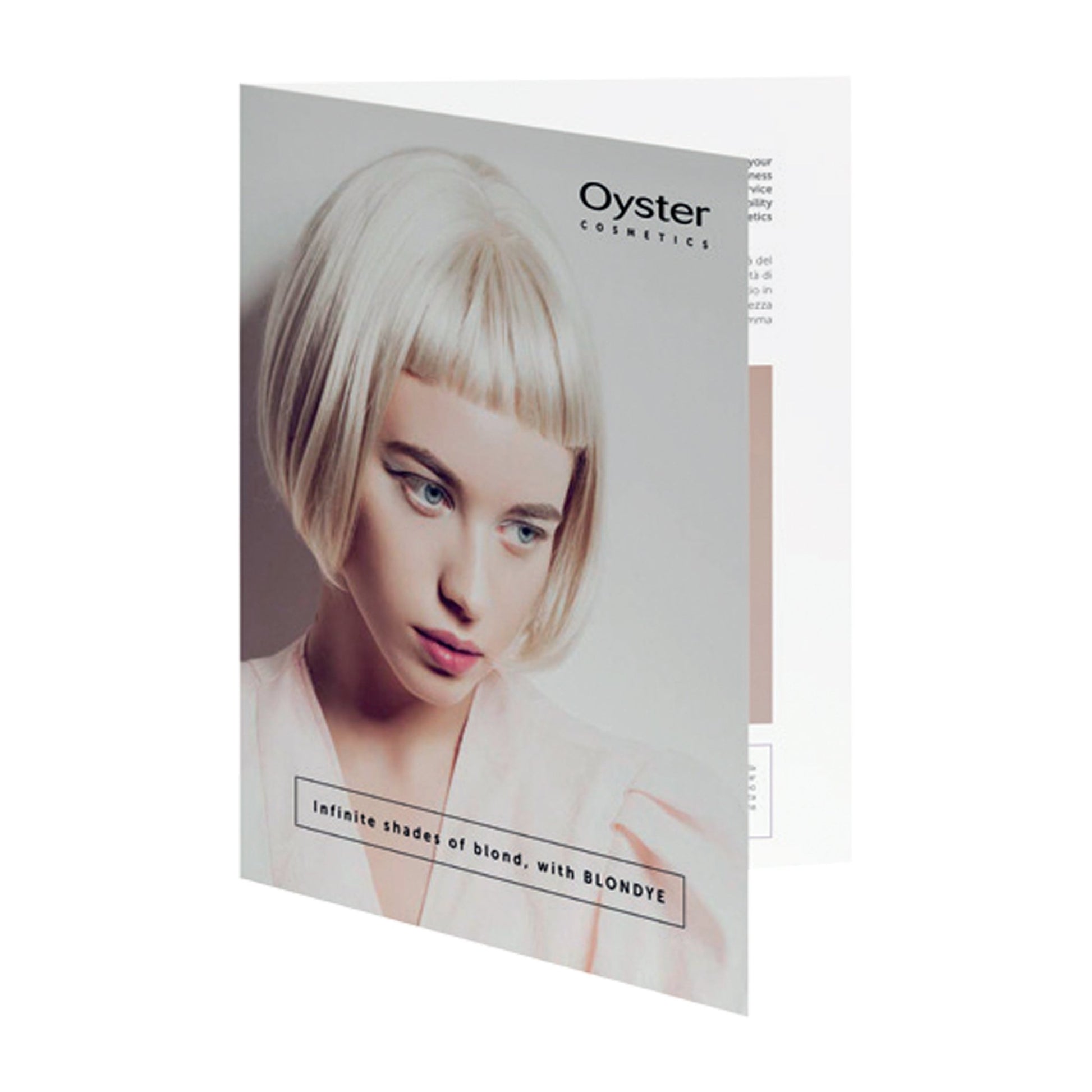 Blondye Swatch Book | OYSTER - SH Salons